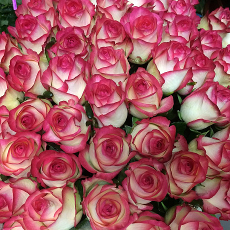 Букет «Джамила 51» - Фото 1