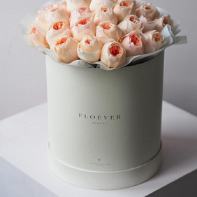 Розы Джульетта Дэвида Остина в жемчужной коробке XL