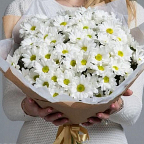 Букет из кустовых хризантем Флора - Фото 1