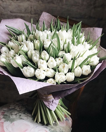 Букет 101 белый тюльпан - Фото 1
