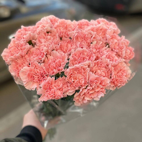 Букет из 25 гвоздик №163 - Фото 1