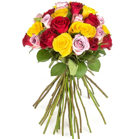 31 разноцветная роза - Фото 1