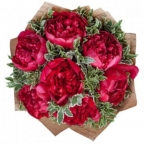 Букет из 7 малиновых пионов и питтоспорума