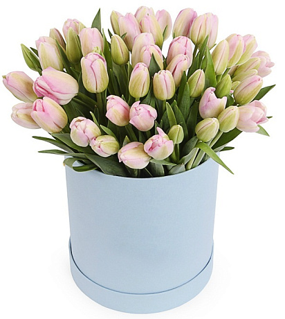 45 розовых тюльпанов в средней шляпной коробке - Фото 1