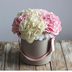 3 розовые Гортензии в розовой шляпной коробке