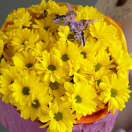 7 Желтых хризантем в красной шляпной коробке №93 - Фото 1