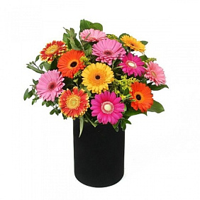 19 гербер в средней шляпной коробке