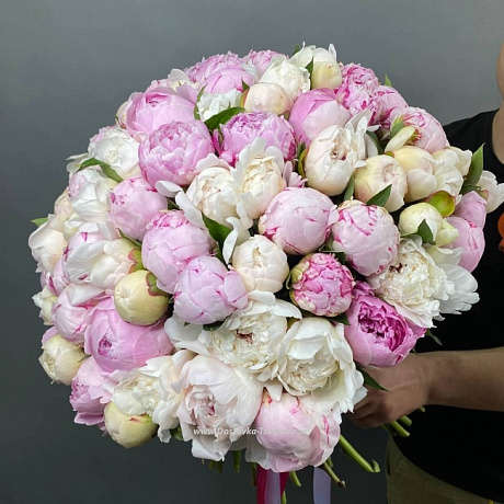 101 великолепный пион - Фото 1