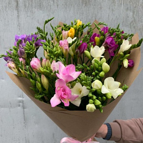 Фрезия Микс 51