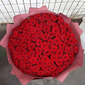 101 роза 60см
