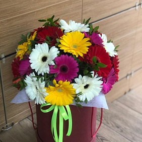 коробка из цветных гербер