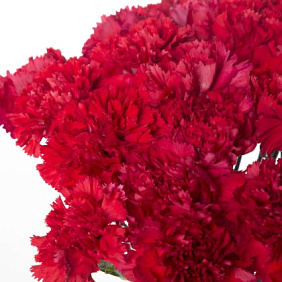 Шляпная коробка с цветами Победа