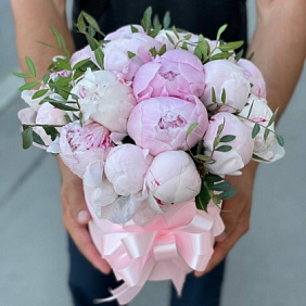 19 пионов в шляпной коробке 