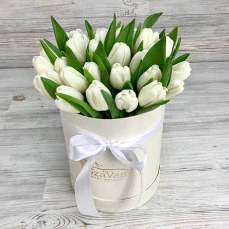 25 белых тюльпанов в белой маленькой шляпной коробке №520 - Фото 1
