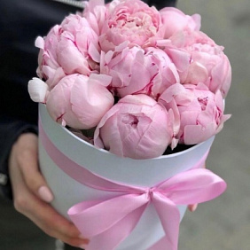 Пионы в коробке №180