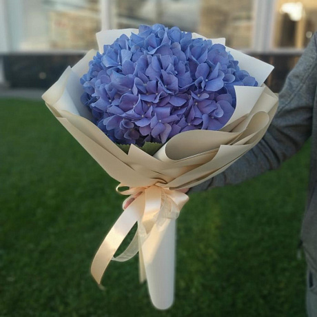 Букет цветов Воздушная гортензия  №162 - Фото 1