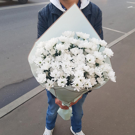 Хризантема кустовая №163 - Фото 1