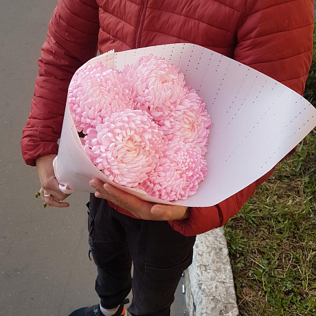 Крымская хризантема №161 - Фото 1