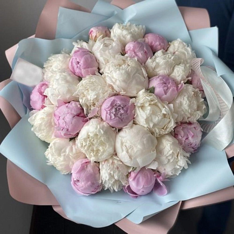 Нежные пионы №163 - Фото 1