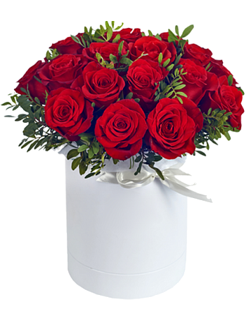 Букет из 17 красных роз с фисташкой в средней шляпной коробке - Фото 1