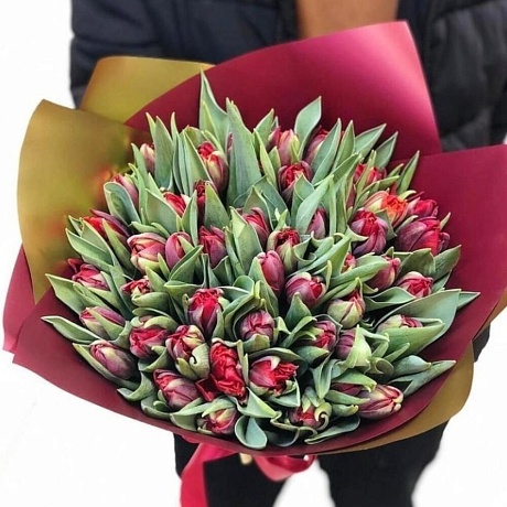 Тюльпаны бордовые №161 - Фото 1