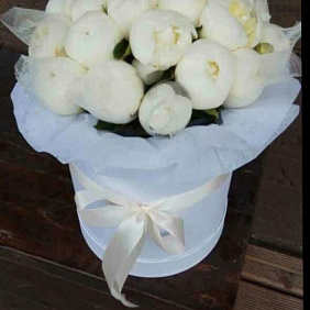 Пион №166