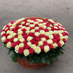 Корзина из эквадорских роз №161
