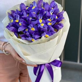 Букет ирисы 35