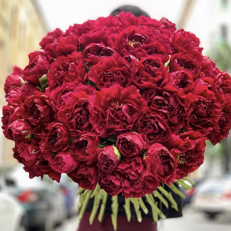 Букет цветов Пышный бал №162 - Фото 1