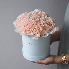 Персиковый диантус в голубой коробке М