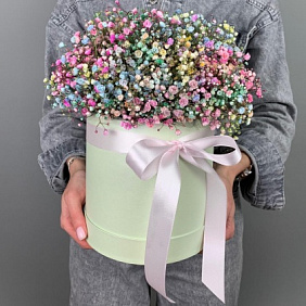 Коробочка «Гипсофила Радужная»