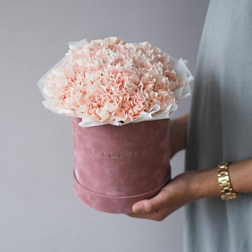 Персиковый диантус в бархатной коробке М