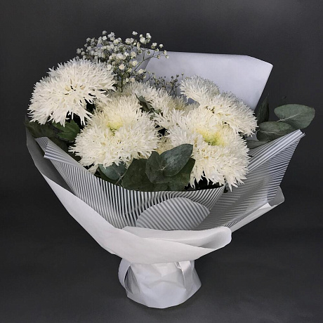 Белые сортовые хризантемы №2 - Фото 1