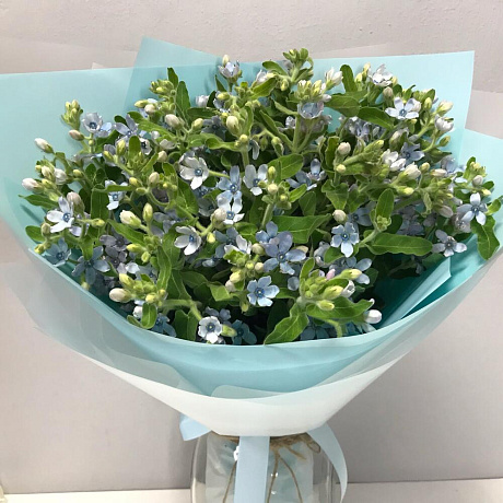 Букет цветов Опсепеталум №160 - Фото 1