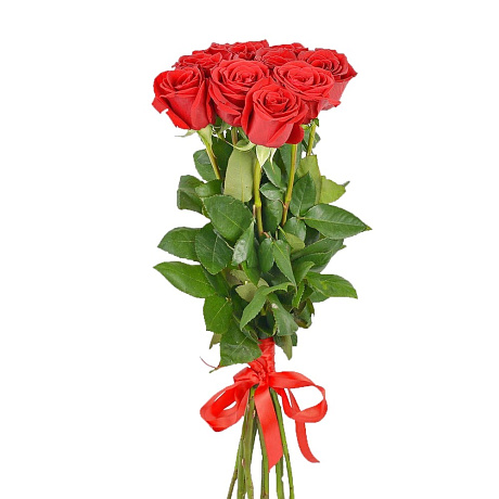 9 красных роз Премиум Эквадор 60 см. - Фото 1