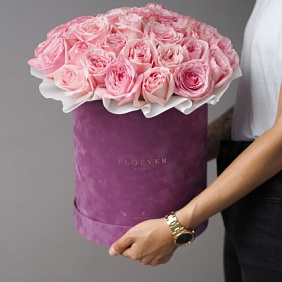 Розы Пинк Охара в сиреневой коробке XL