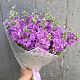 Букет из маттиола