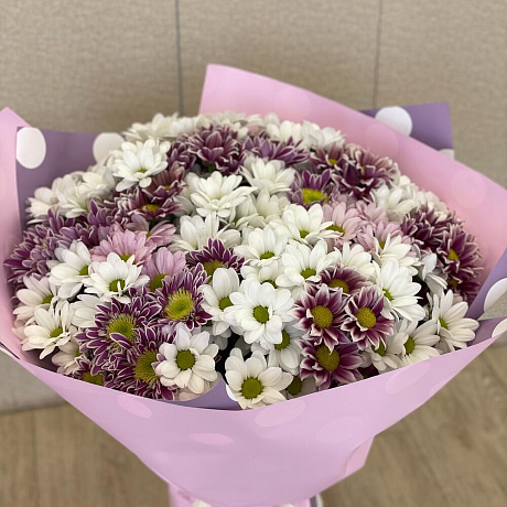 Букет из 25 кустовых хризантем - Фото 1