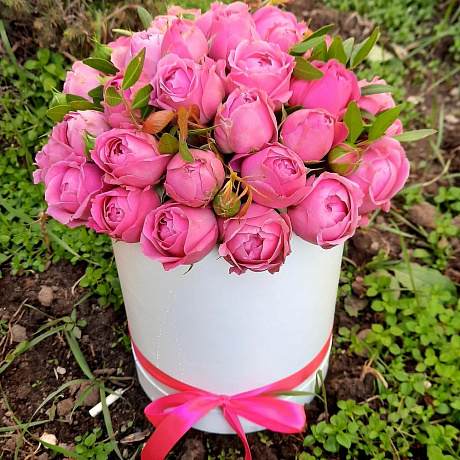 Букет цветов Мисти Баблс №163 - Фото 1