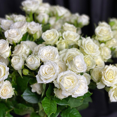 Розы кустовые №162 - Фото 1