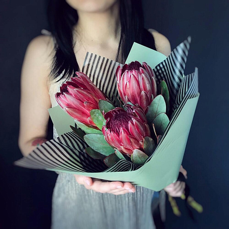 Протея африканской - Фото 1