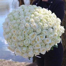 Букет 101 роз Аваланж