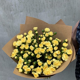 Гвоздика кустовая лимонная 51