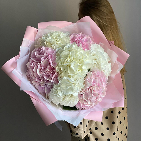Монобукет Гортензия №162 - Фото 1