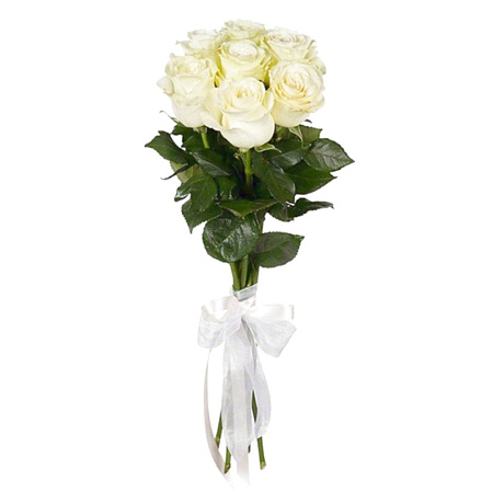 11 белых роз Премиум Эквадор 80 см - Фото 1