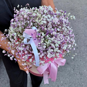 Гипсофила в коробке №173