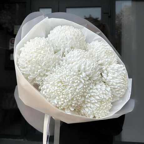 Хризантема большая - Фото 1