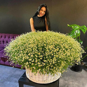 Корзина с цветами №197