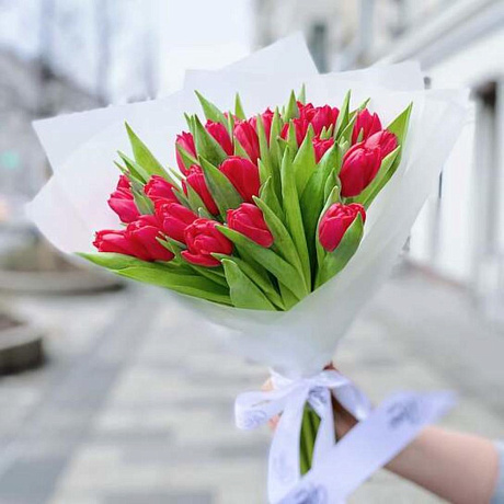 Моно-Букет Тюльпаны Красные №2 - Фото 1
