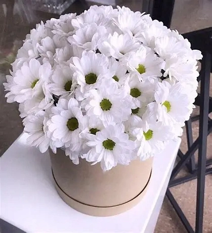 5 Белых хризантем в маленькой белой коробке №327 - Фото 1